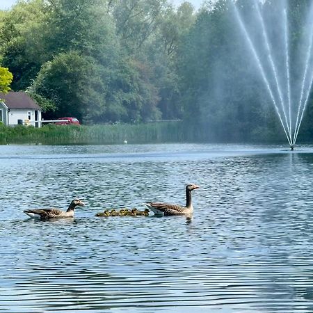 Luxury Kingfisher Lodge, Isis Lake, Within The Cotswold Waterpark Сайренсестер Екстер'єр фото